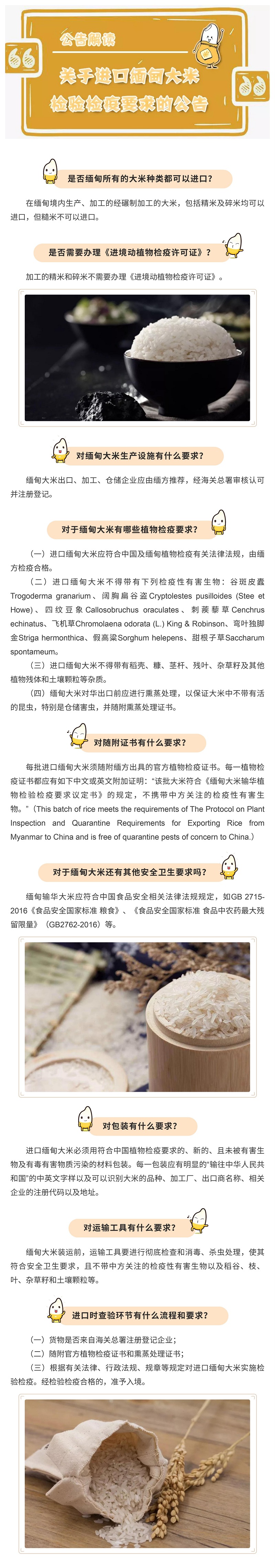 公告解读海关总署公告2020年第22号(关于进口缅甸大米检验检疫要求的公告) 公告解读海关总署公告2020年第22号(关于进口缅甸大米检验检疫要求的公告)