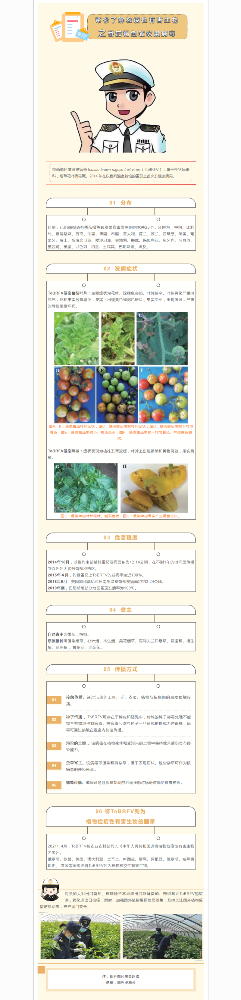 解读内容——【动植物检疫】带你了解植物检疫性有害生物（二）番茄褐色皱纹果病毒