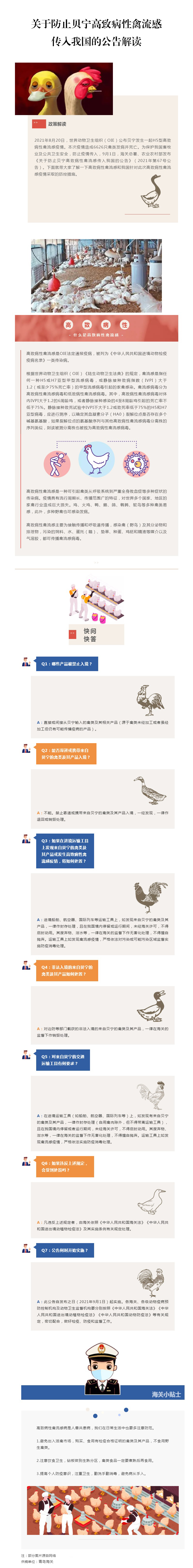 【动植物检疫】关于防止贝宁高致病性禽流感传入我国的公告解读