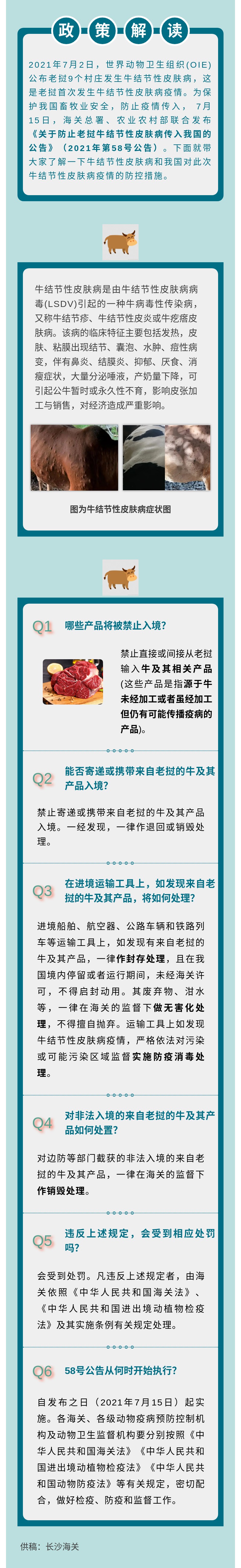 关于防止老挝牛结节性皮肤病传入我国的公告1