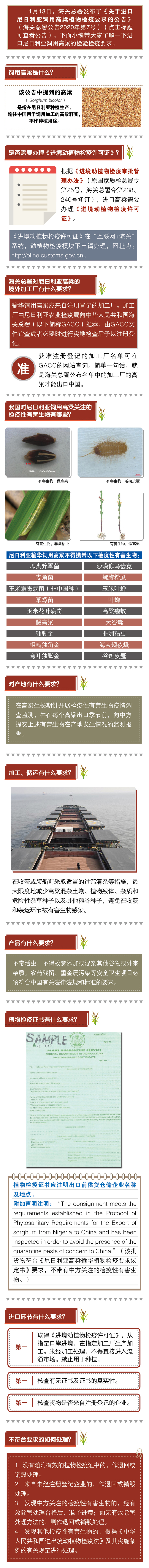 7号公告解读 7号公告解读