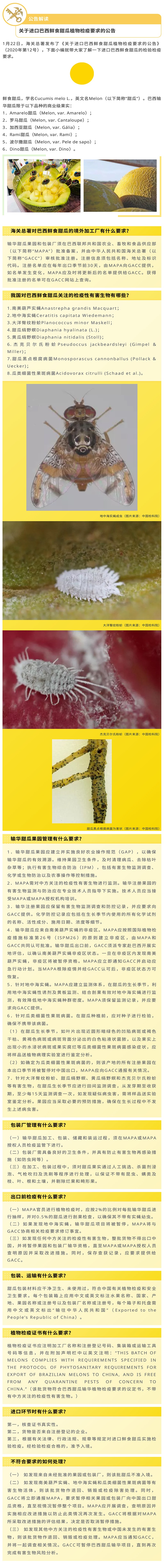 公告解读丨关于进口巴西鲜食甜瓜植物检疫要求的公告