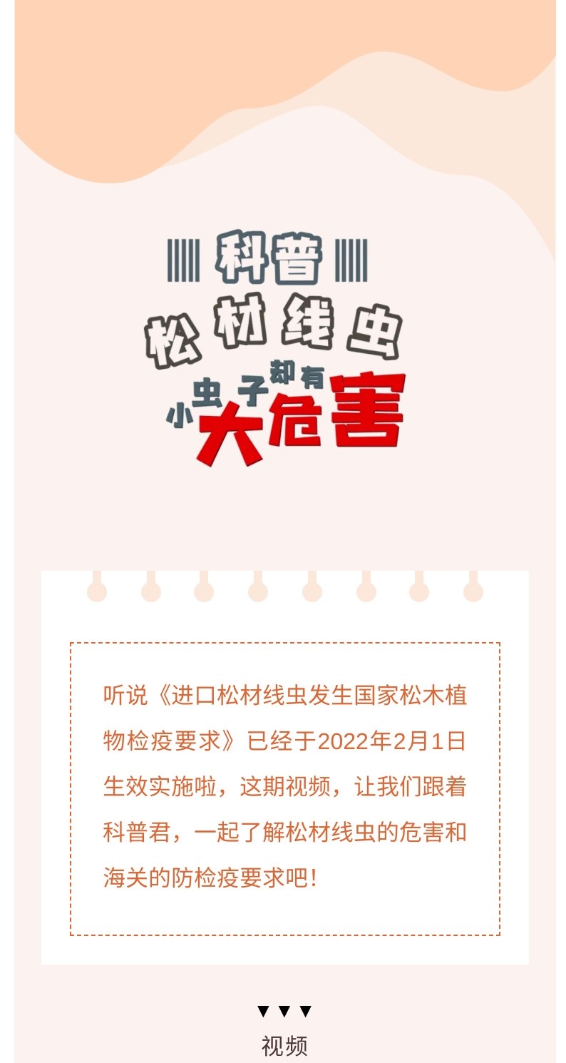 解读科普-松材线虫小虫子却有大危害_1