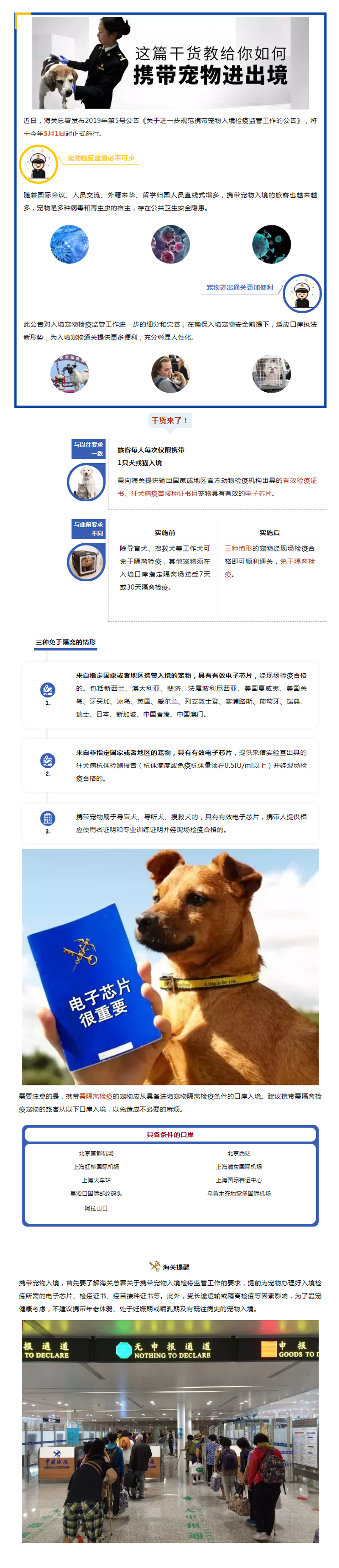 宠物入境有新规 猫狗通关更便利
