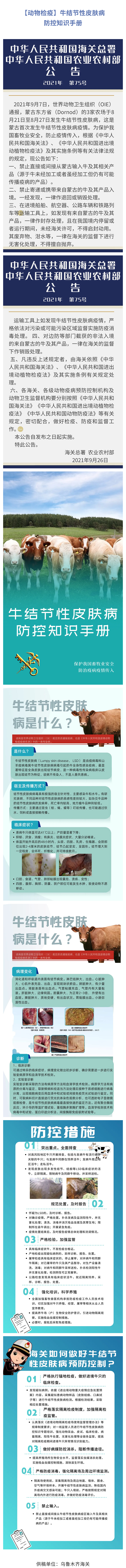 75号公告【动物检疫】牛结节性皮肤病防控知识手册