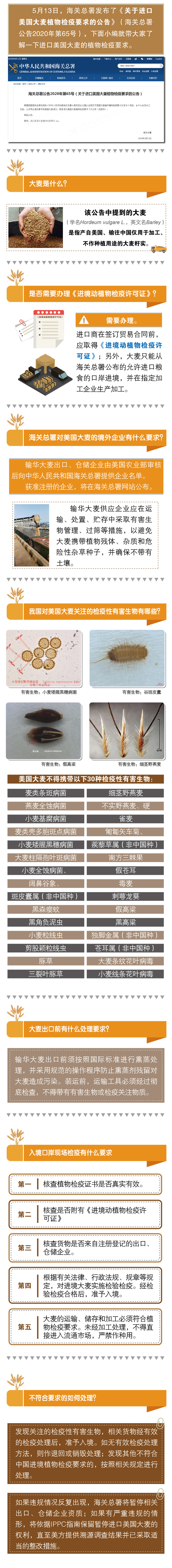 65号解读
