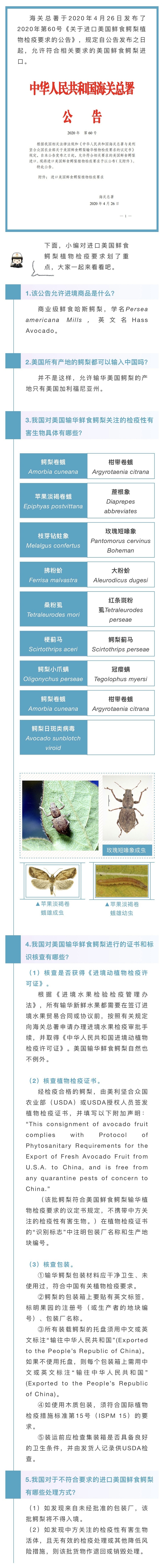 60号公告解读
