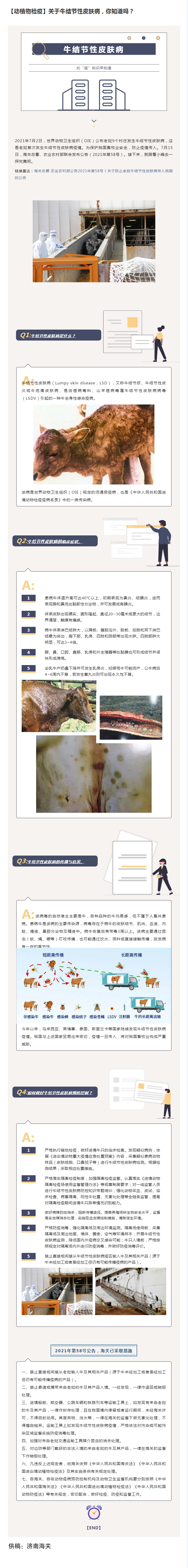 1【动植物检疫】关于牛结节性皮肤病,你知道吗? 1【动植物检疫】关于牛结节性皮肤病,你知道吗?