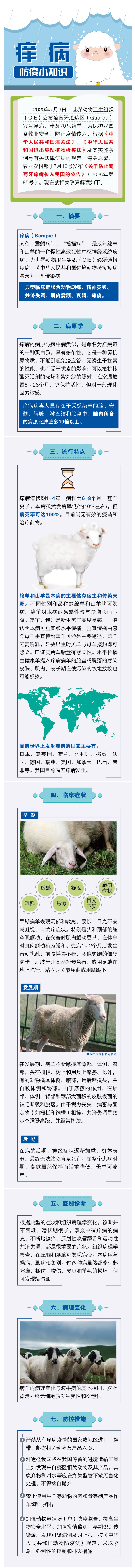 85号公告解读—痒病防疫小知识 85号公告解读—痒病防疫小知识