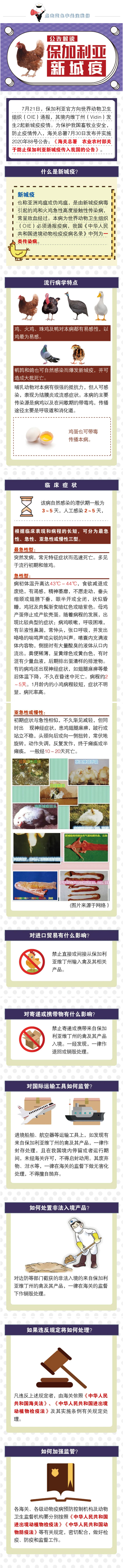 公告解读  保加利亚新城疫