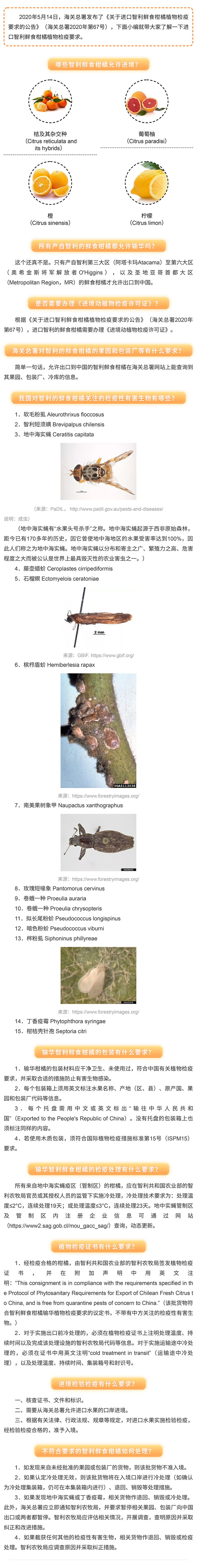 公告解读-关于进口智利鲜食柑橘植物检疫要求的公告（海关总署公告2020年第67号）_02