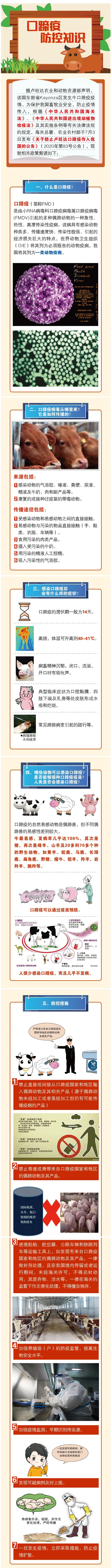 83号公告解读∣口蹄疫防控知识