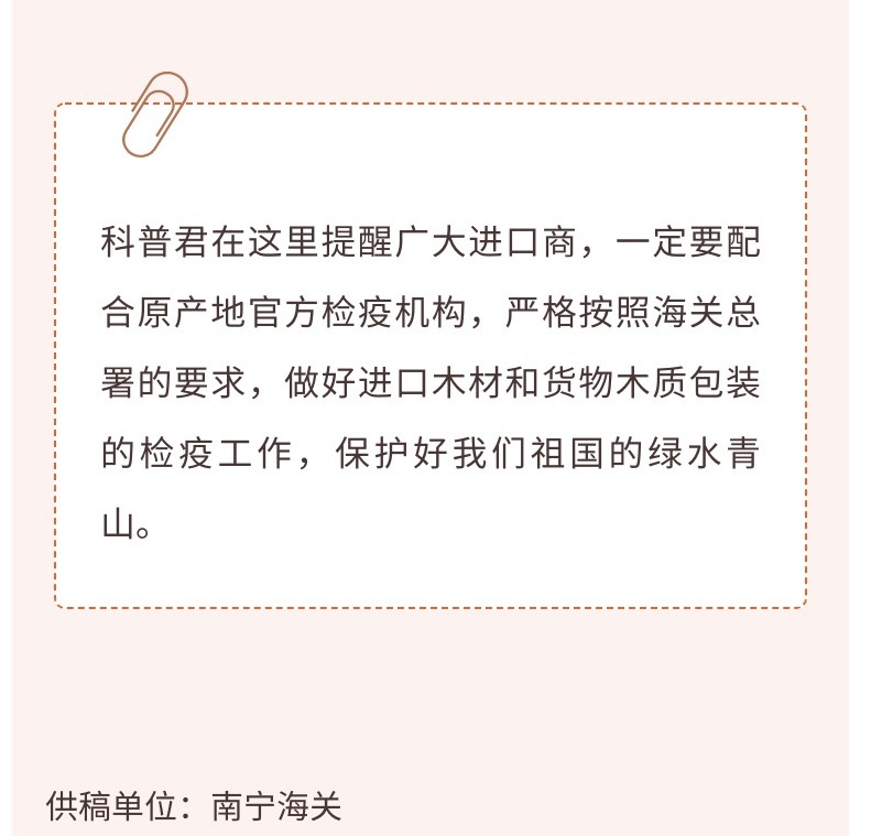 解读科普-松材线虫小虫子却有大危害_3