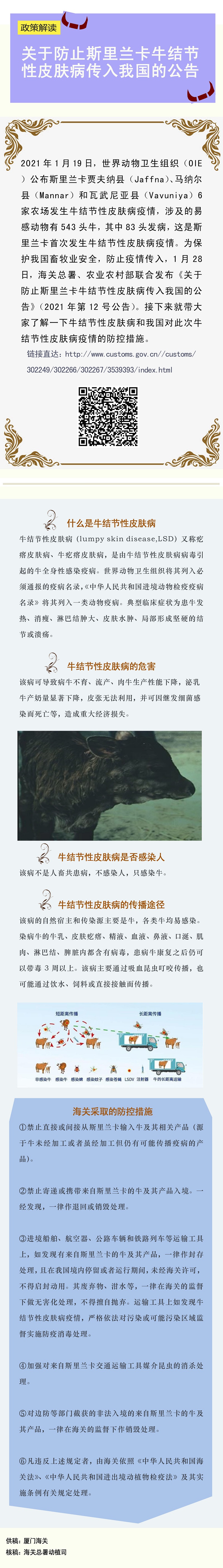 12号公告解读 12号公告解读