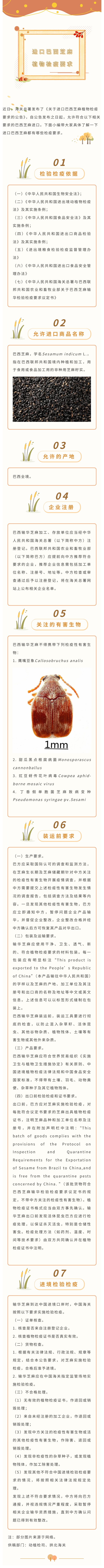 政策解读 关于进口巴西芝麻植物检疫要求的公告