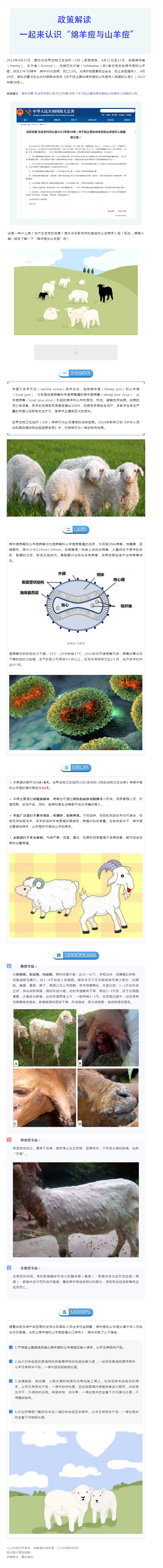 2022年第38号公告解读