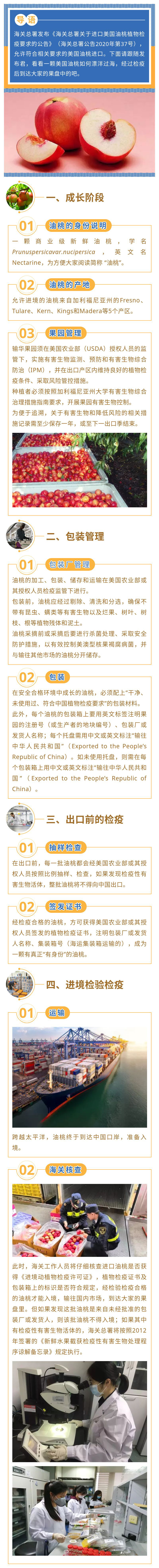 解读:一颗美国油桃是如何经检疫进口的 解读:一颗美国油桃是如何经检疫进口的