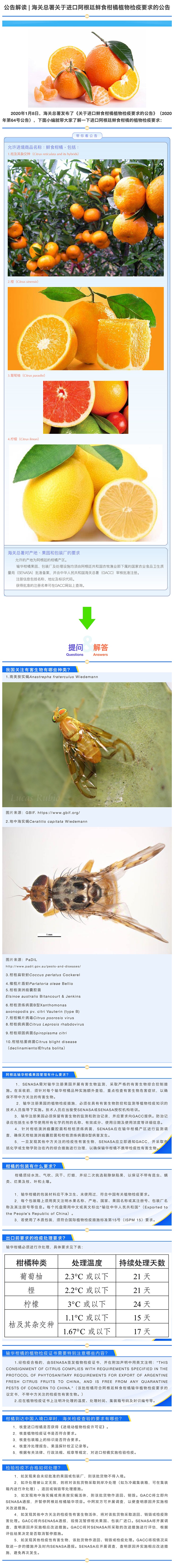 公告解读++关于进口阿根廷鲜食柑橘植物检疫要求的公告