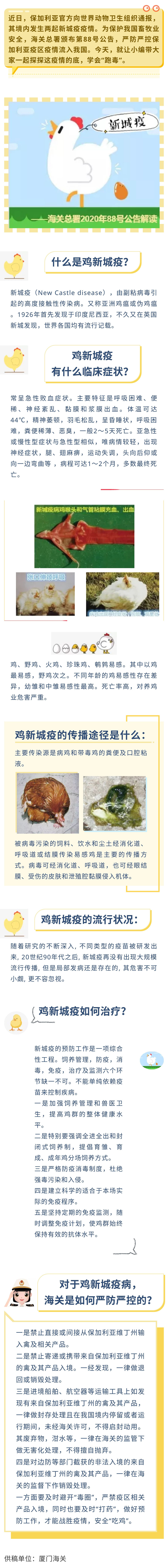 公告解读:严防保加利亚新城疫流入我国 公告解读:严防保加利亚新城疫流入我国