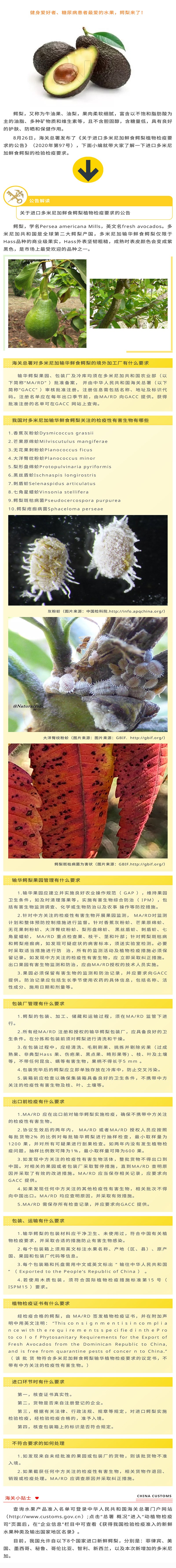 公告解读丨关于进口多米尼加鲜食鳄梨植物检疫要求的公告_1 公告解读丨关于进口多米尼加鲜食鳄梨植物检疫要求的公告_1